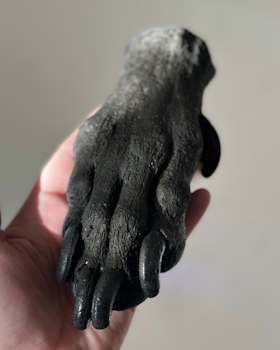 Paw cast with Great Dane