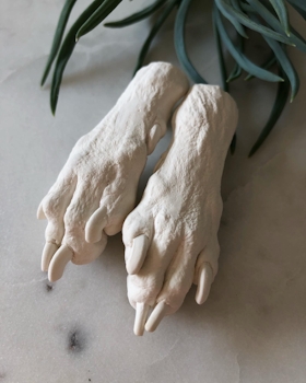 Two paw casts with hairless dog, facing down