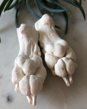 Two paw casts with hairless dog, highlighting toe beans