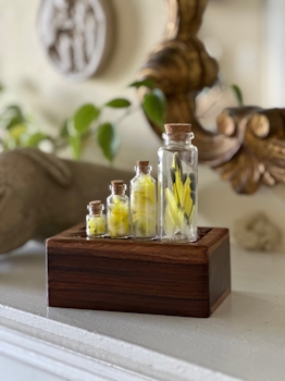 Feather collection in glass vials