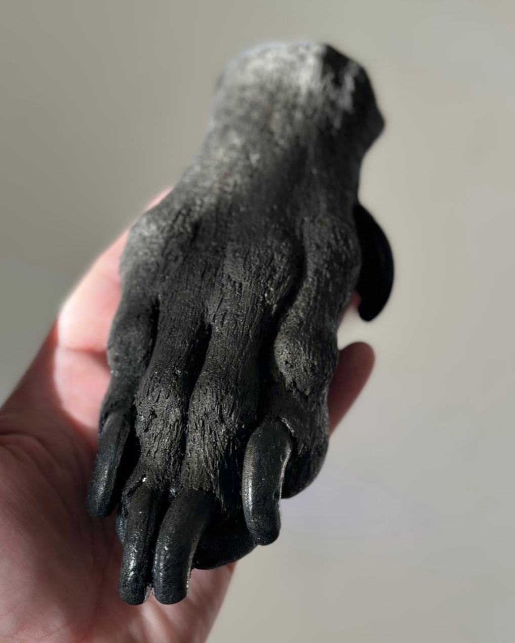 Cast of a large dog's paw being held by a person
