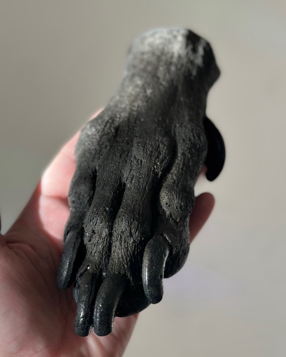Cast of a paw from a large dog being held in a person's hand