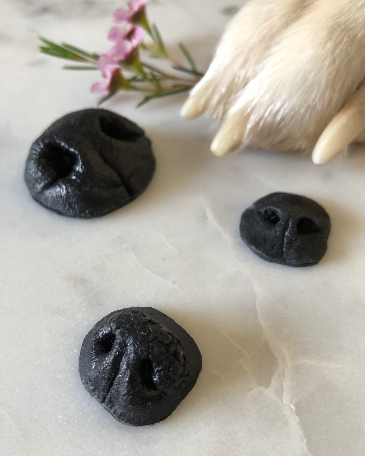 Three cast dog noses with a preserved paw and flower
