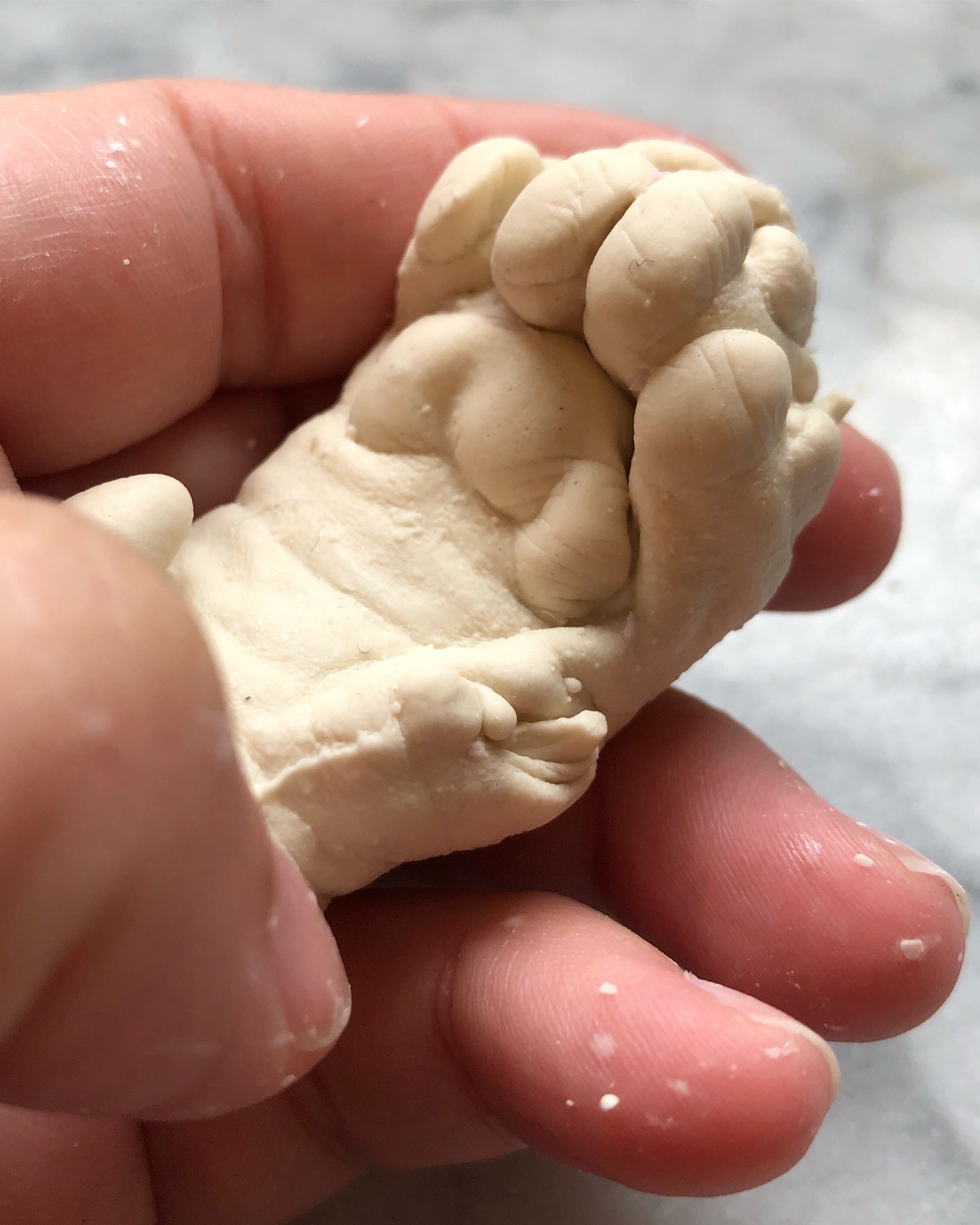 Cast of a cat's paw being held in a person's hand