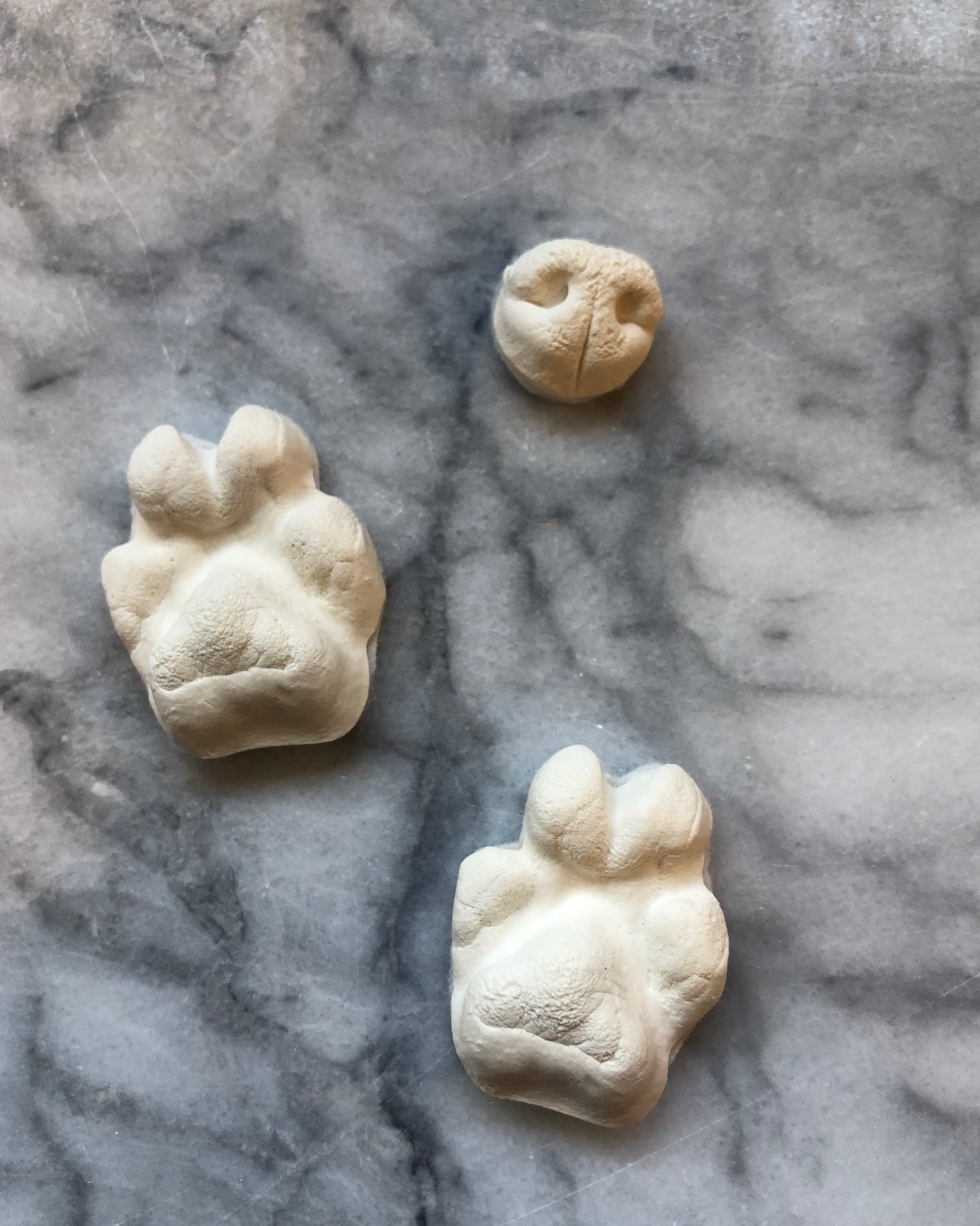 Two cast dog paws and a cast dog nose