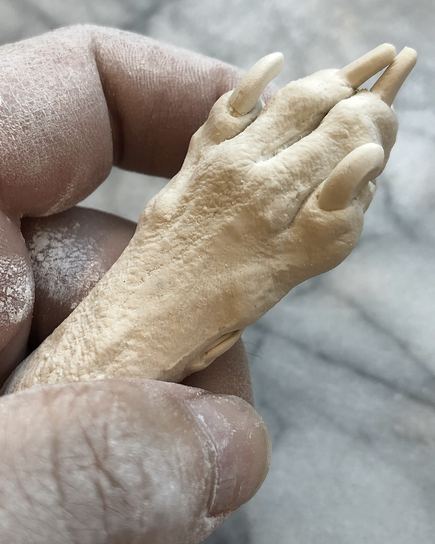 Cast of a small dog's paw being held in a person's hand