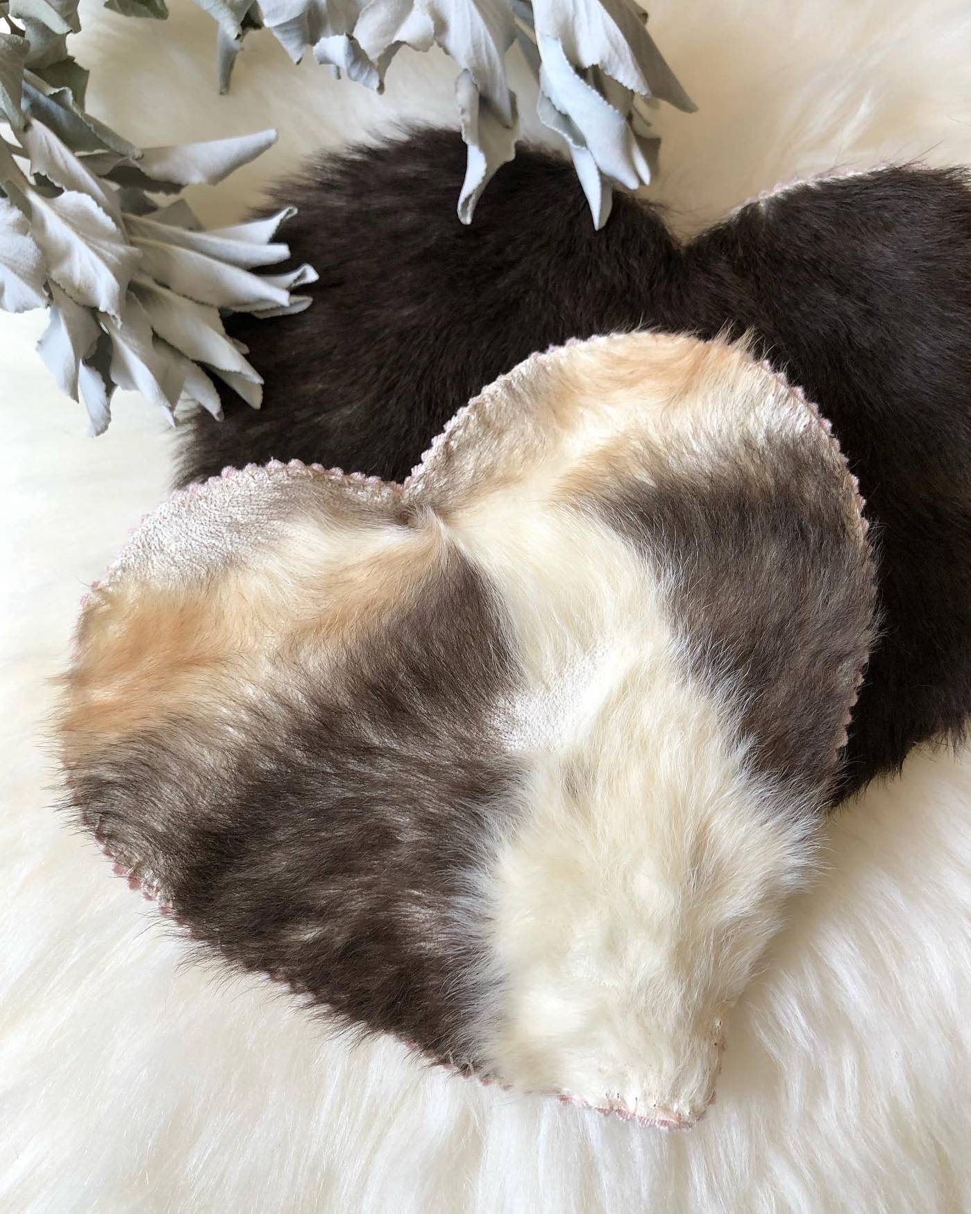 Two heart-shaped fur preservations with some sage off to the side