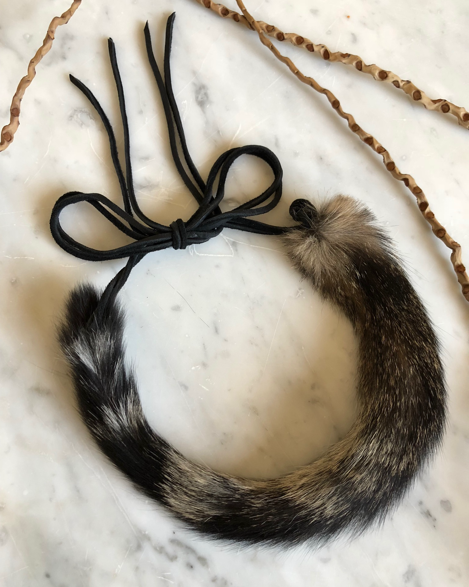 Cat's tail fashioned into a necklace and tied with leather cord